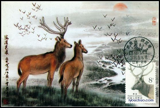麋鹿极限片盖1997年麋鹿瞭望塔首发纪念戳 10全1.jpg